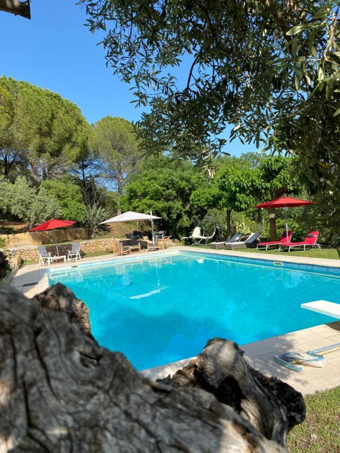 Chambres D'Hotes De Charme La Joseline Flayosc Buitenkant foto